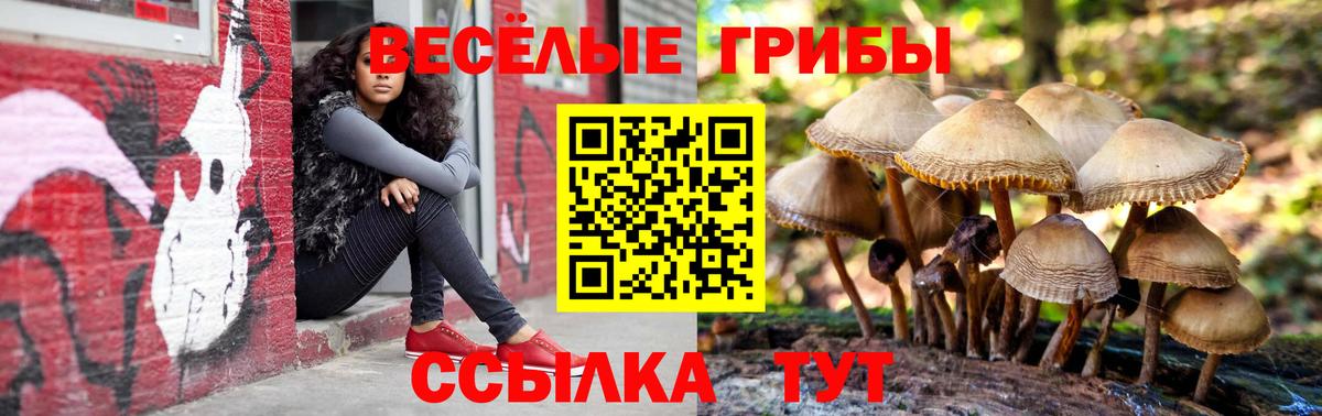цены наркотик  Вход с VPN  Балаково  Псилоцибиновые грибы GOLDEN TEACHER 